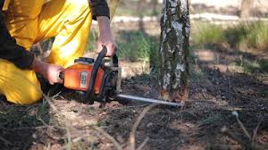 Best Weed Control  in Williamsport, PA